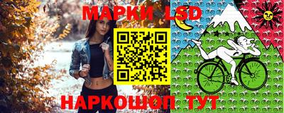 скорость Будённовск